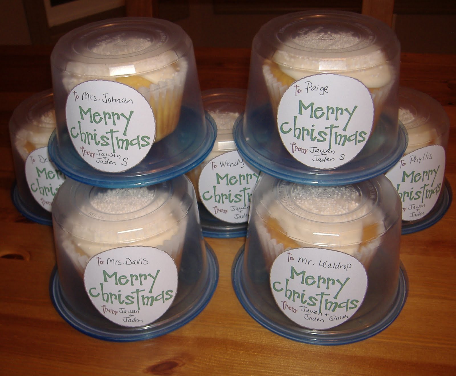 Individual Plastic Cupcake Containers