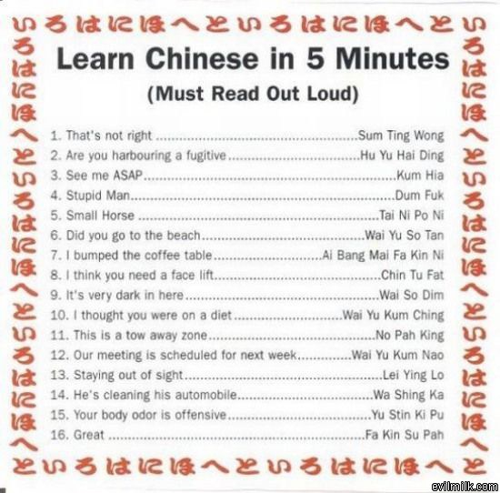 The Jokes Diaryeea: Learn Chinese in 5 Minutes