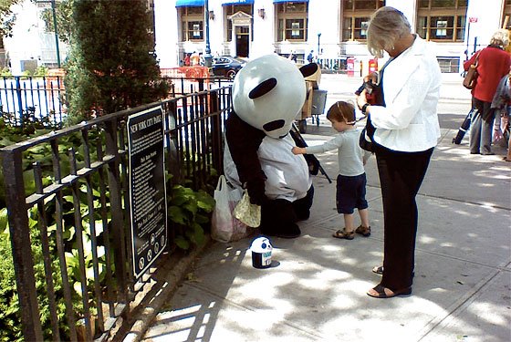 [20090602_pandaassault_560x375.jpg]