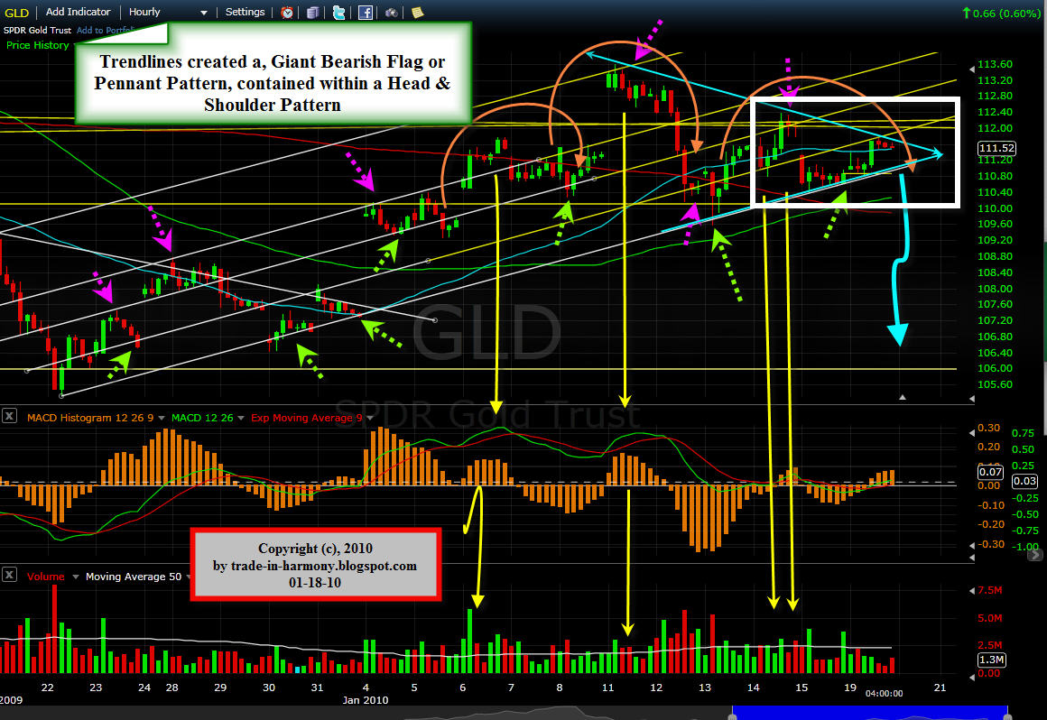 [GLD+Update+01-19-10.jpg]