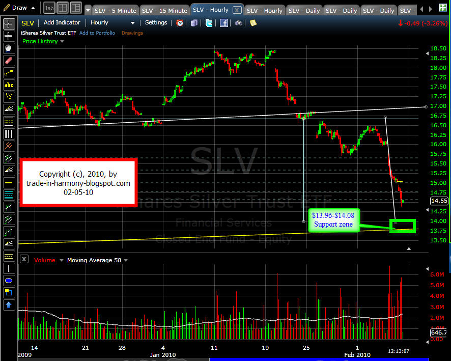 [SLV+Update+02-05-10.jpg]