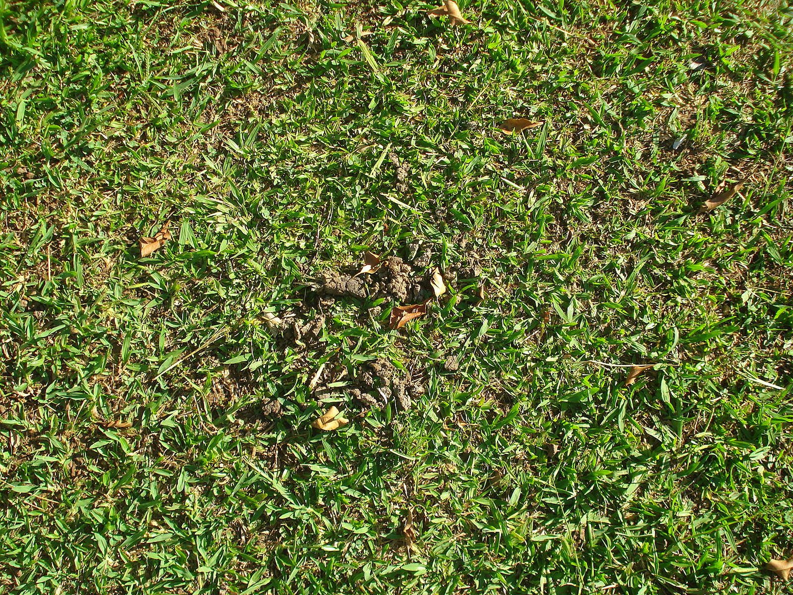 [DSC09305.JPG]