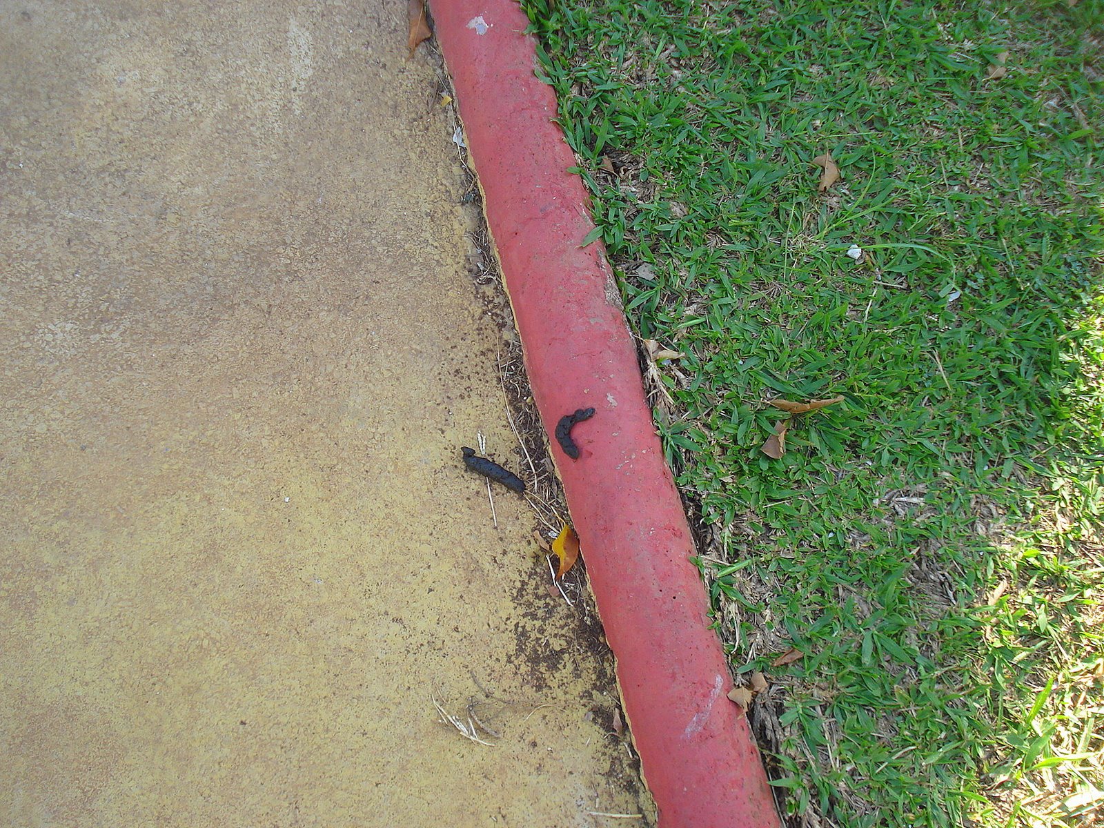 [DSC09304.JPG]