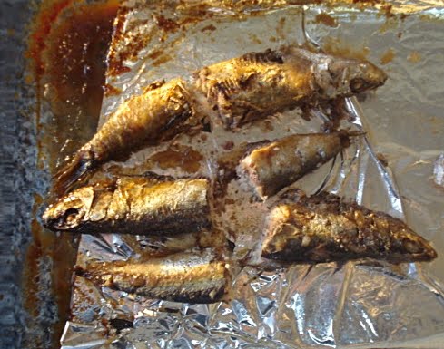 [peixes8.JPG]