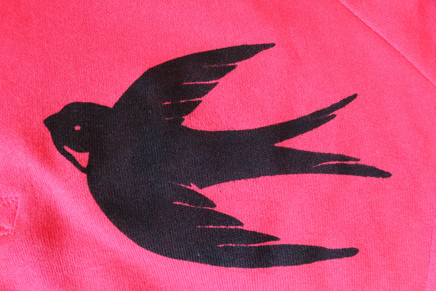 estilolu flieg, liebe Schwalbe