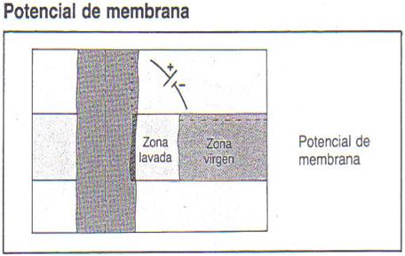 [SP4.jpg]