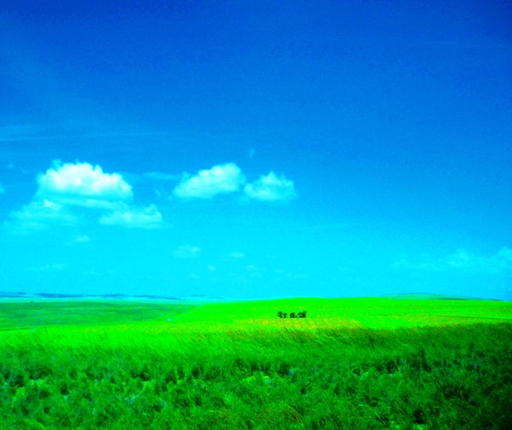 Green Grass, Blue Sky