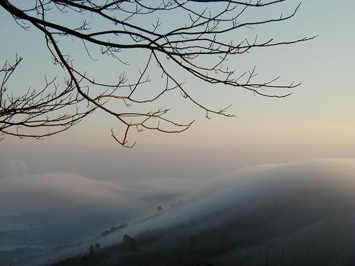 [1-1-2008.jpg]