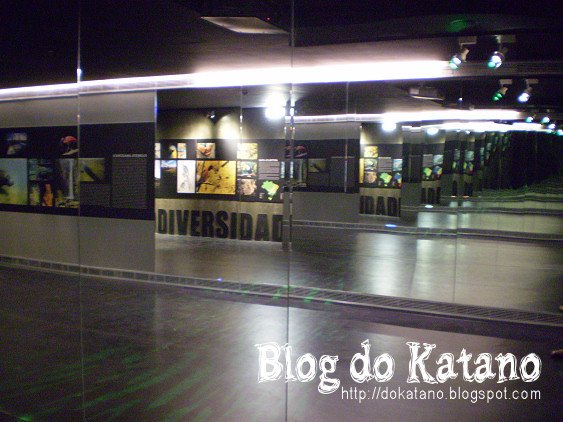 [descobrimentos3.jpg]