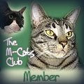 M-Cats Club