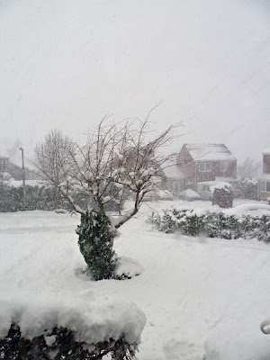 snow-4.jpg