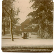Snow - 1981