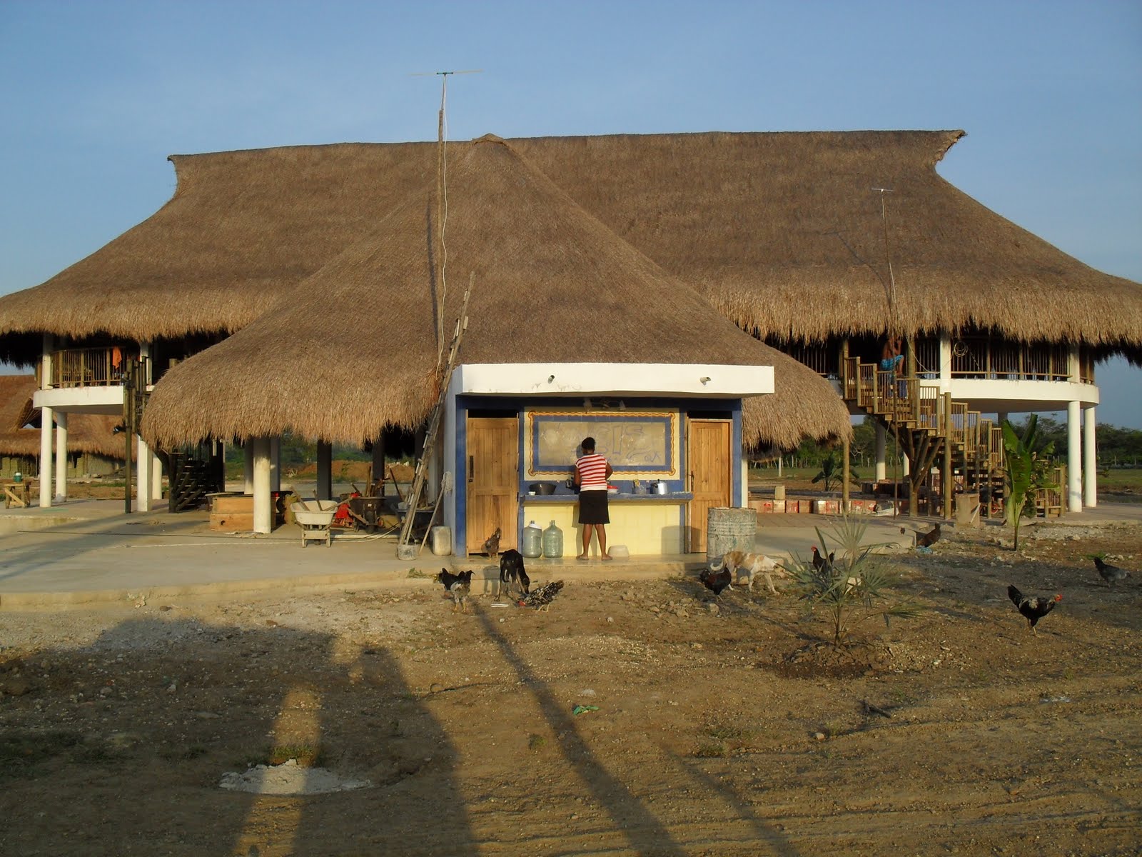 RANCHO SAN GERONIMO PALMASORIANA ELABORACION DE KIOKOS TROPICALES EN