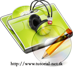 Video Format Types