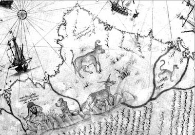 Cattle - Detail Piri Reis map