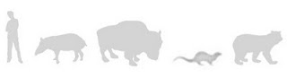 comparative sizes Patagonian cryptids