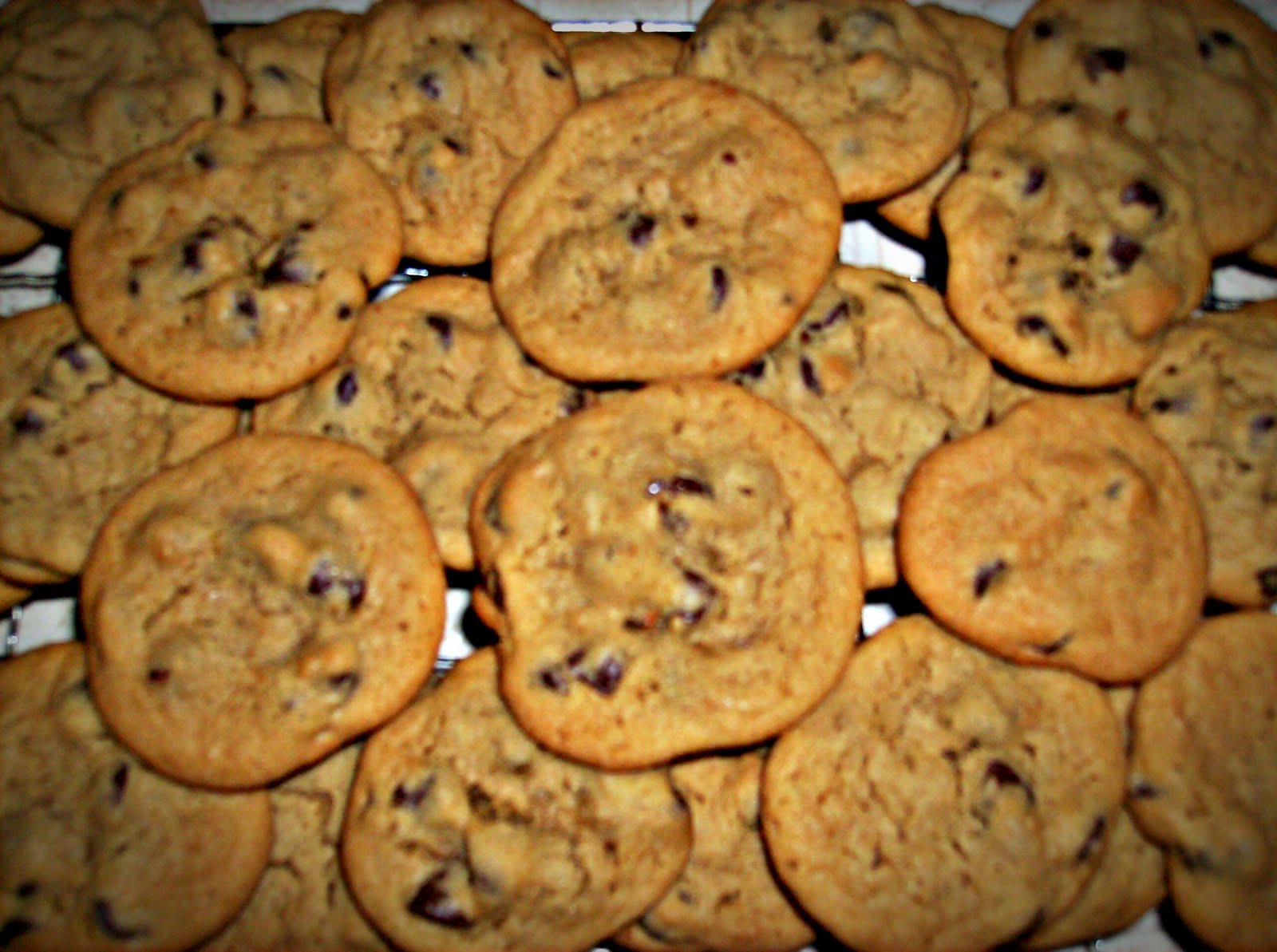 [chocolate+chip+cookies.jpg]