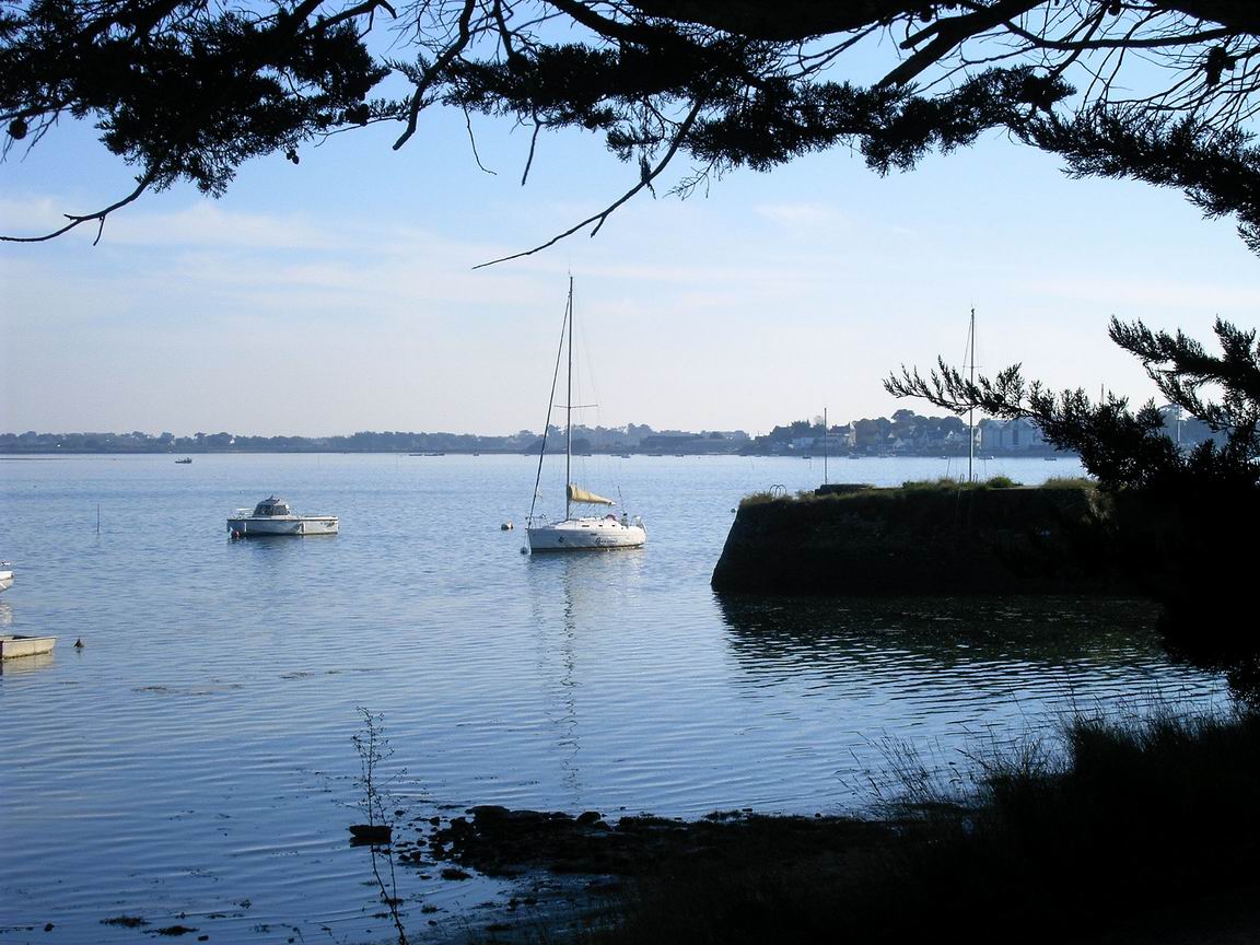 [RedimensionnerIMAG0009.JPG]