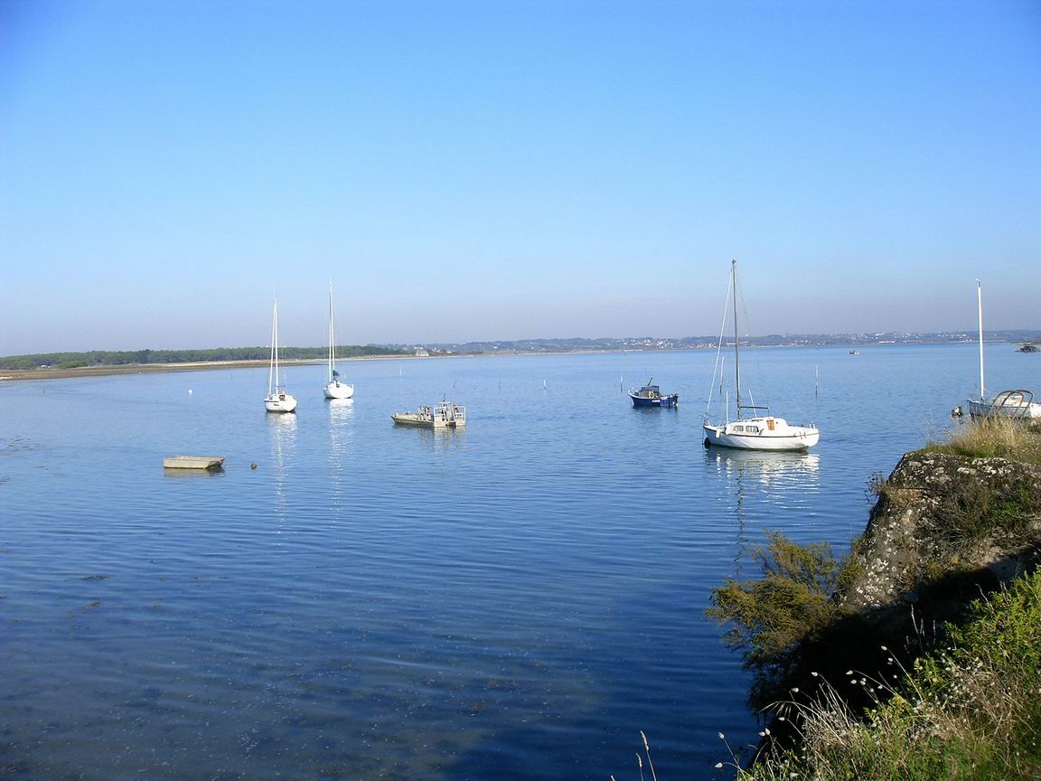 [RedimensionnerIMAG0010.JPG]