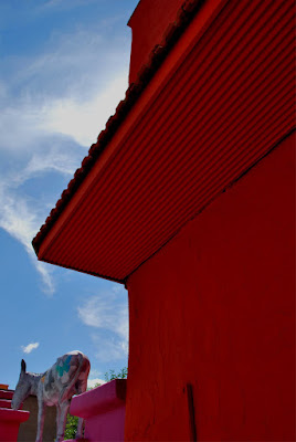 DSC_0260