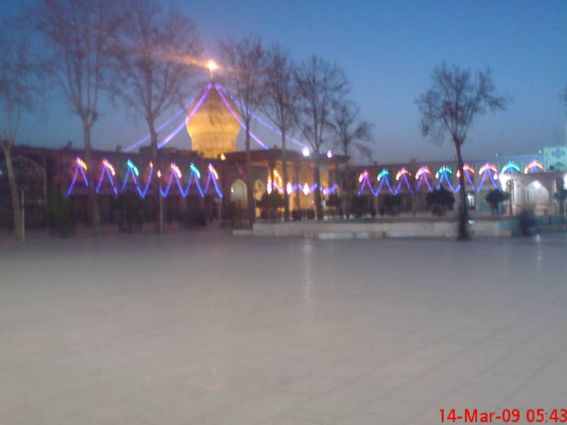 [image-upload-94-717707.jpg]
