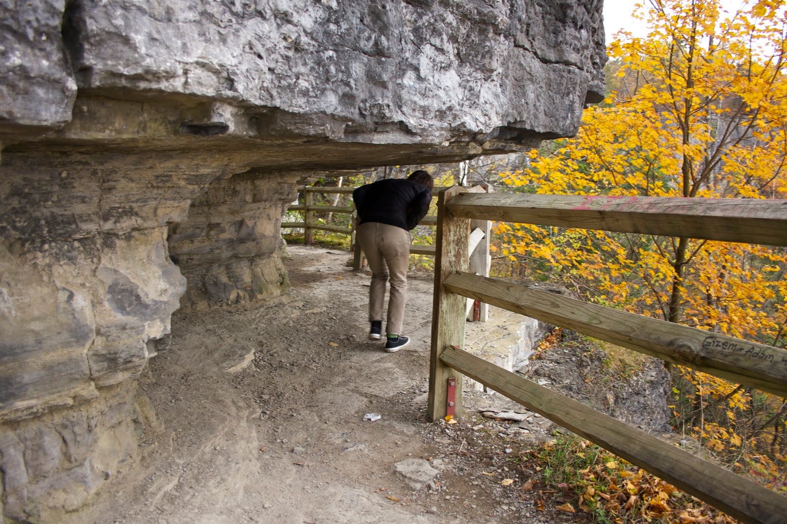 A Day In the Life Of Thacher Park Indian Ladder Trails, Albany, NY