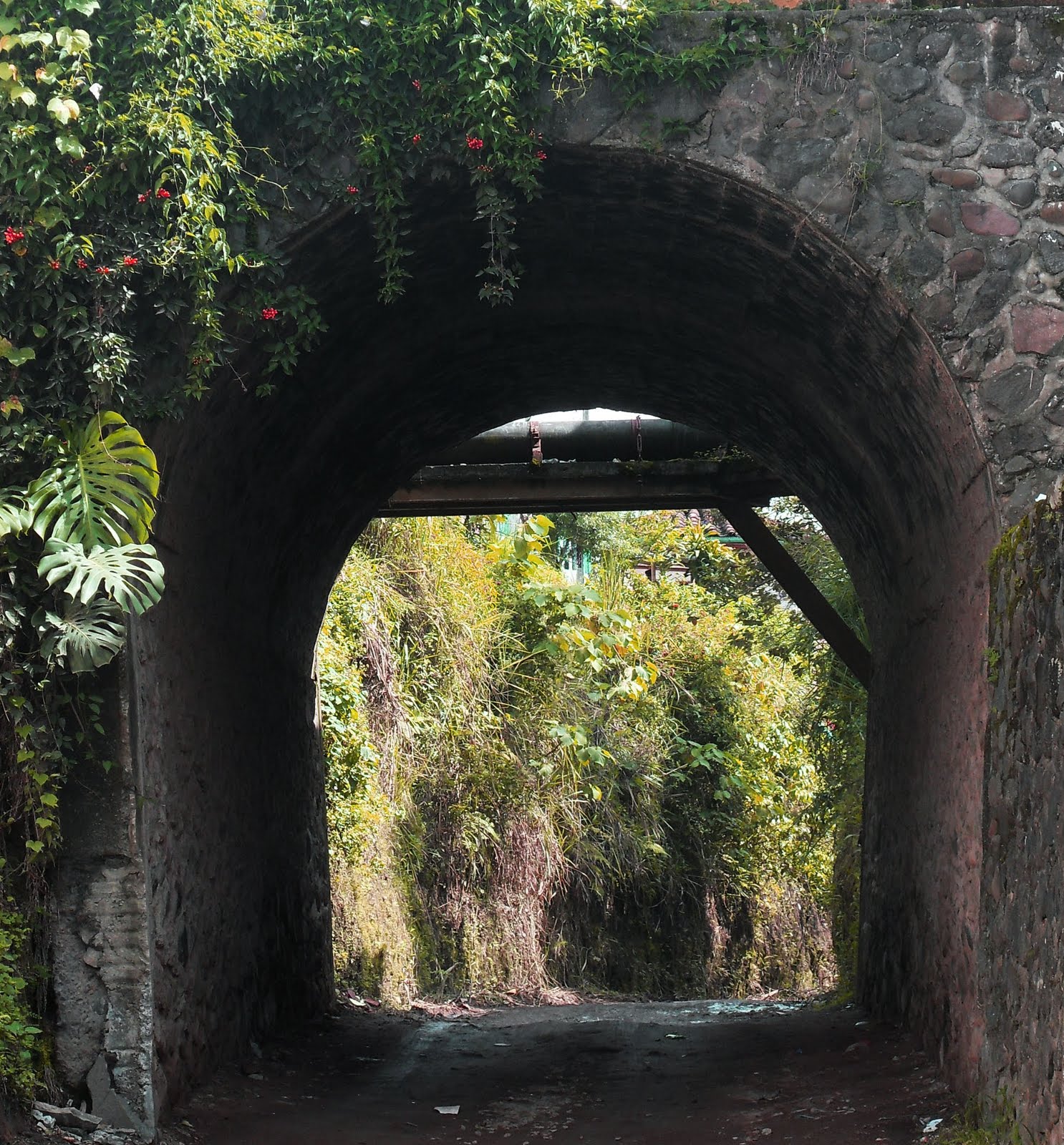 Revista Digital Senda Quindiana Turismo Ancestral,