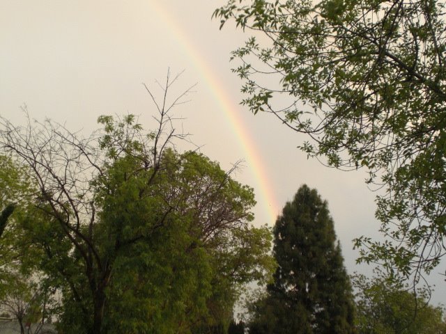 [rainbow+3152.JPG]