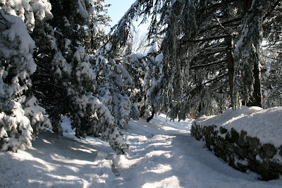 wanderlust la repubblica di san marino