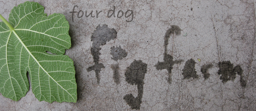 The Four Dog Fig Farm
