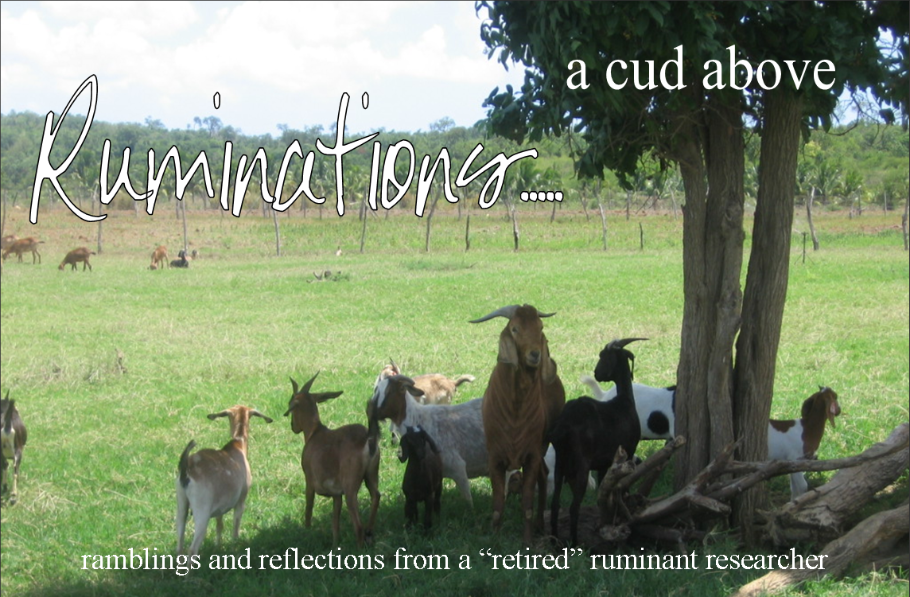 The Retired Ruminator....a cud above