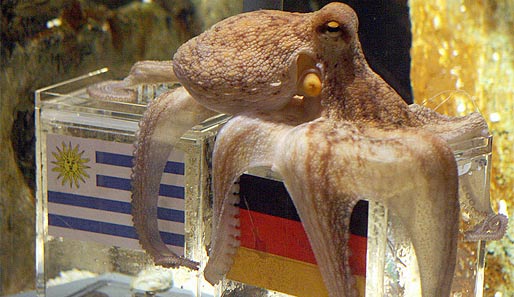 Paul Die Krake Paul Die Krake