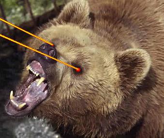 [laserbear.JPG]
