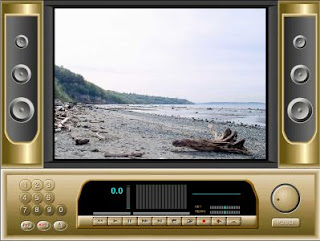 realorche download free