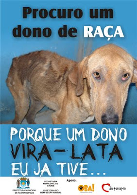 Campanha contra o abandono de cães