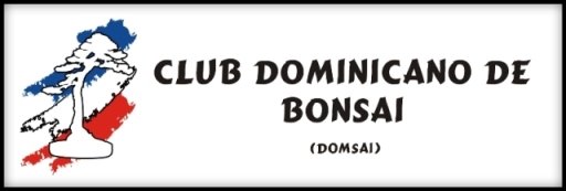 CLUB DOMINICANO DE BONSAI