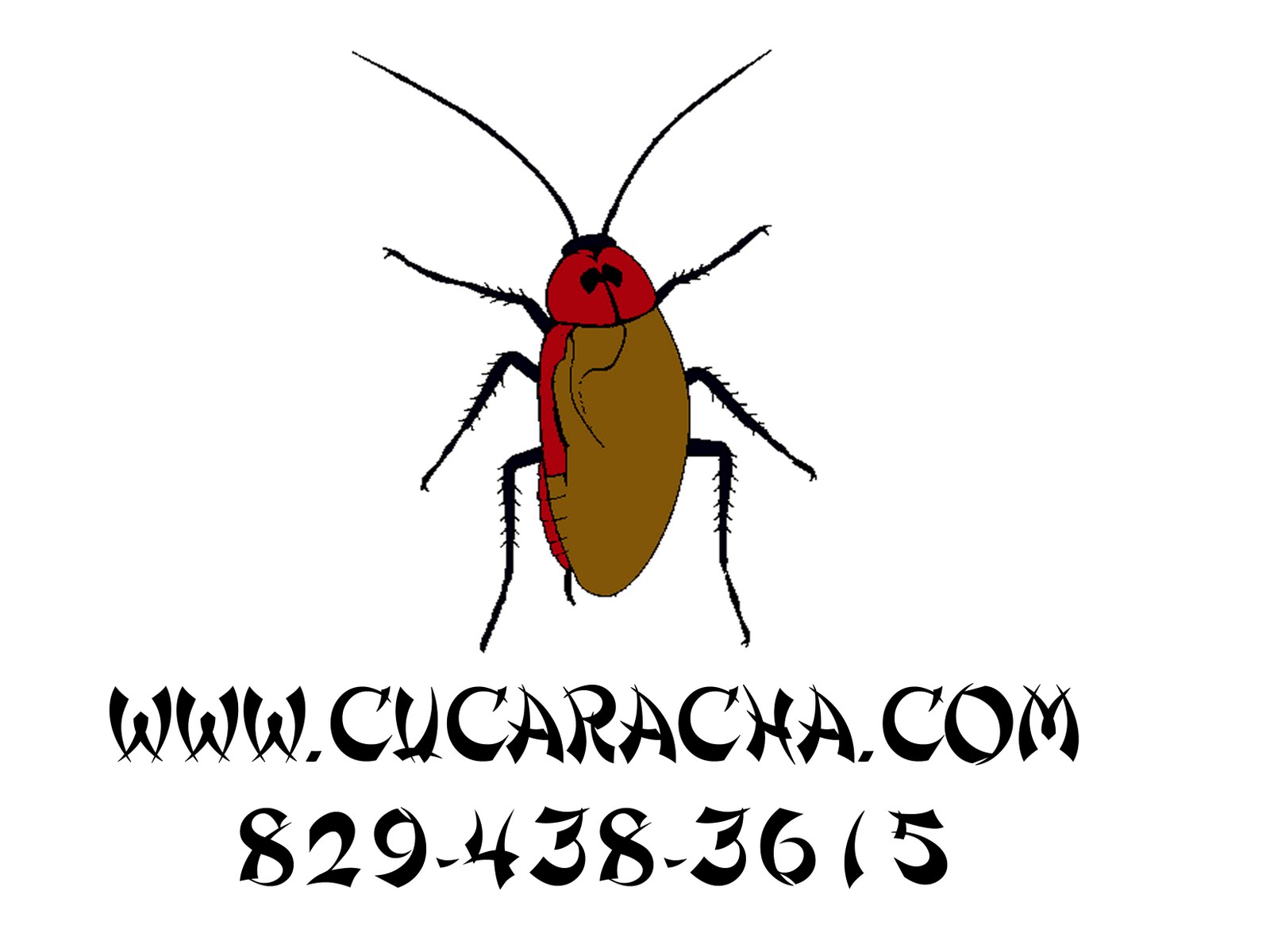 cucaracha