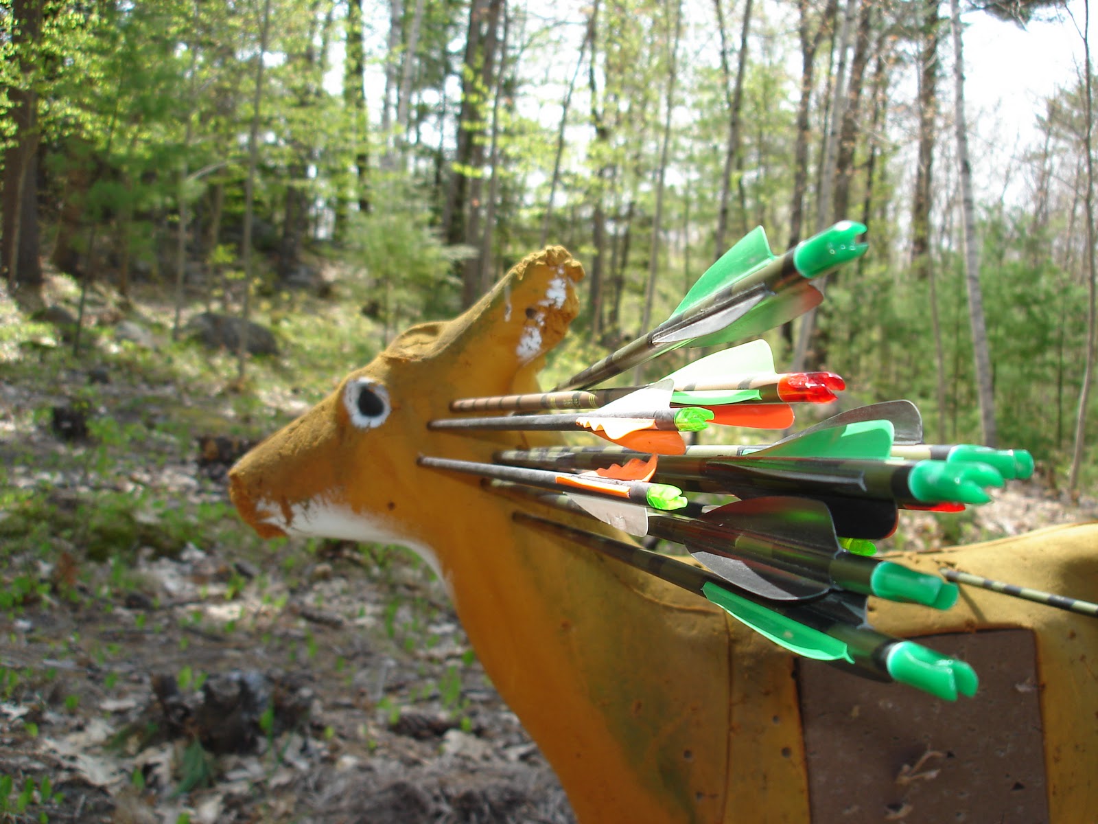 The Maine Outdoorsman: October 2010