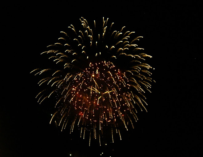 FUEGOS ARTIFICIALES