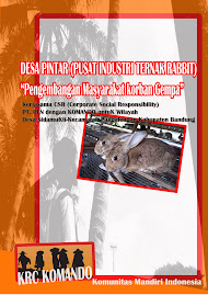 Road to Indonesia Mandiri