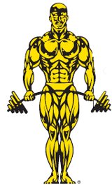 [golds+gym+2.jpg]
