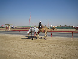 Sheehaniya Camel Race Track