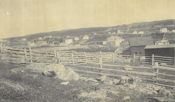 EARLY PIC OF ENGLISH HARBOUR