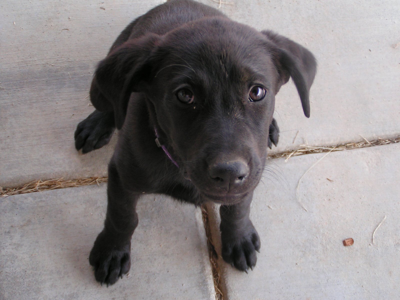 [7-17-08+Olive+(3).JPG]