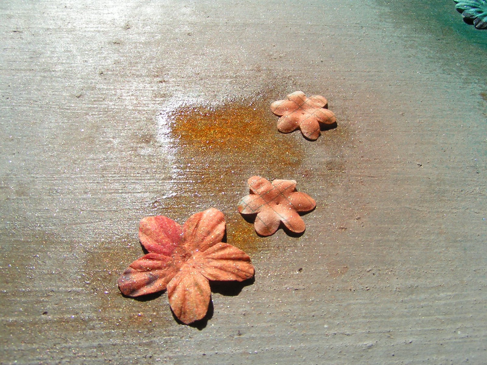 [Glimmer+Mist+and+HW+018.JPG]