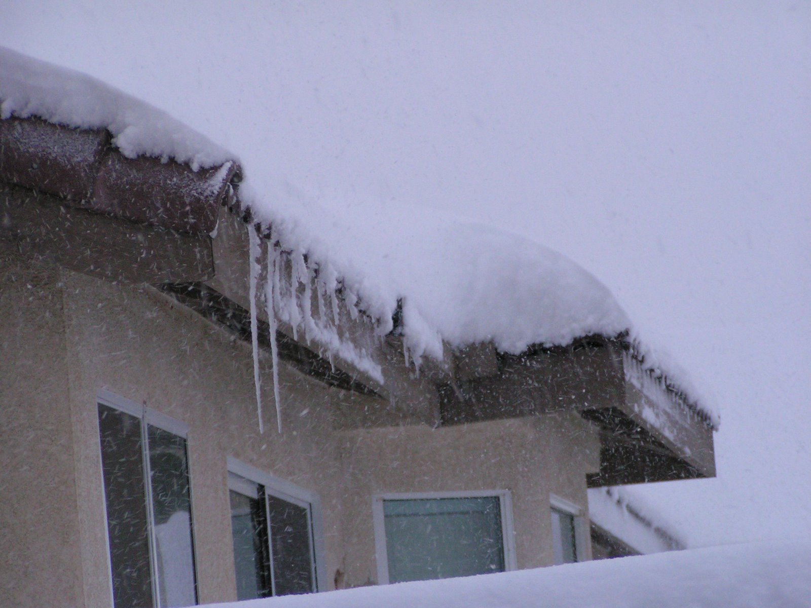 [12-17-08+and+12-18-08+Snow+013.JPG]