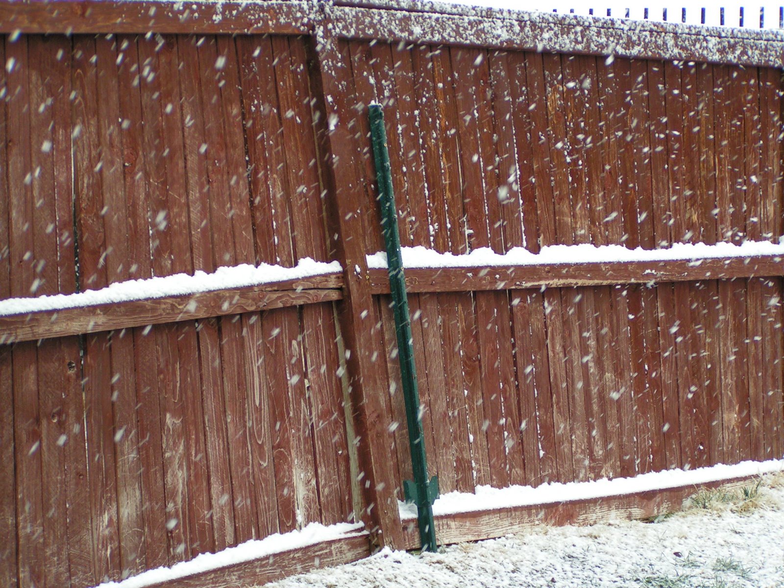 [Jayle+Birthday+and+Snow+2-9-09+123.JPG]