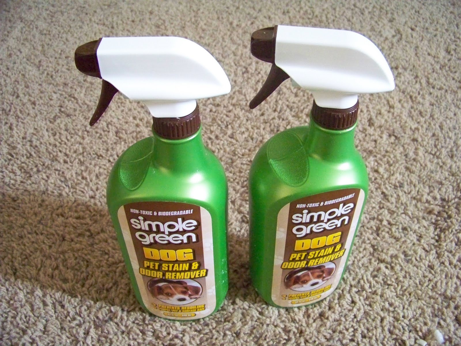 Simple Green Dog Pet Stain & Odor Remover Review + Giveaway The