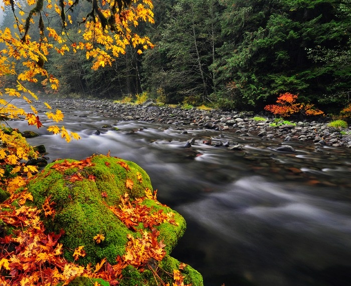 Amazingforme Amazing Examples for Nature Photography Amazingforme Amazing Examples for Nature Photography