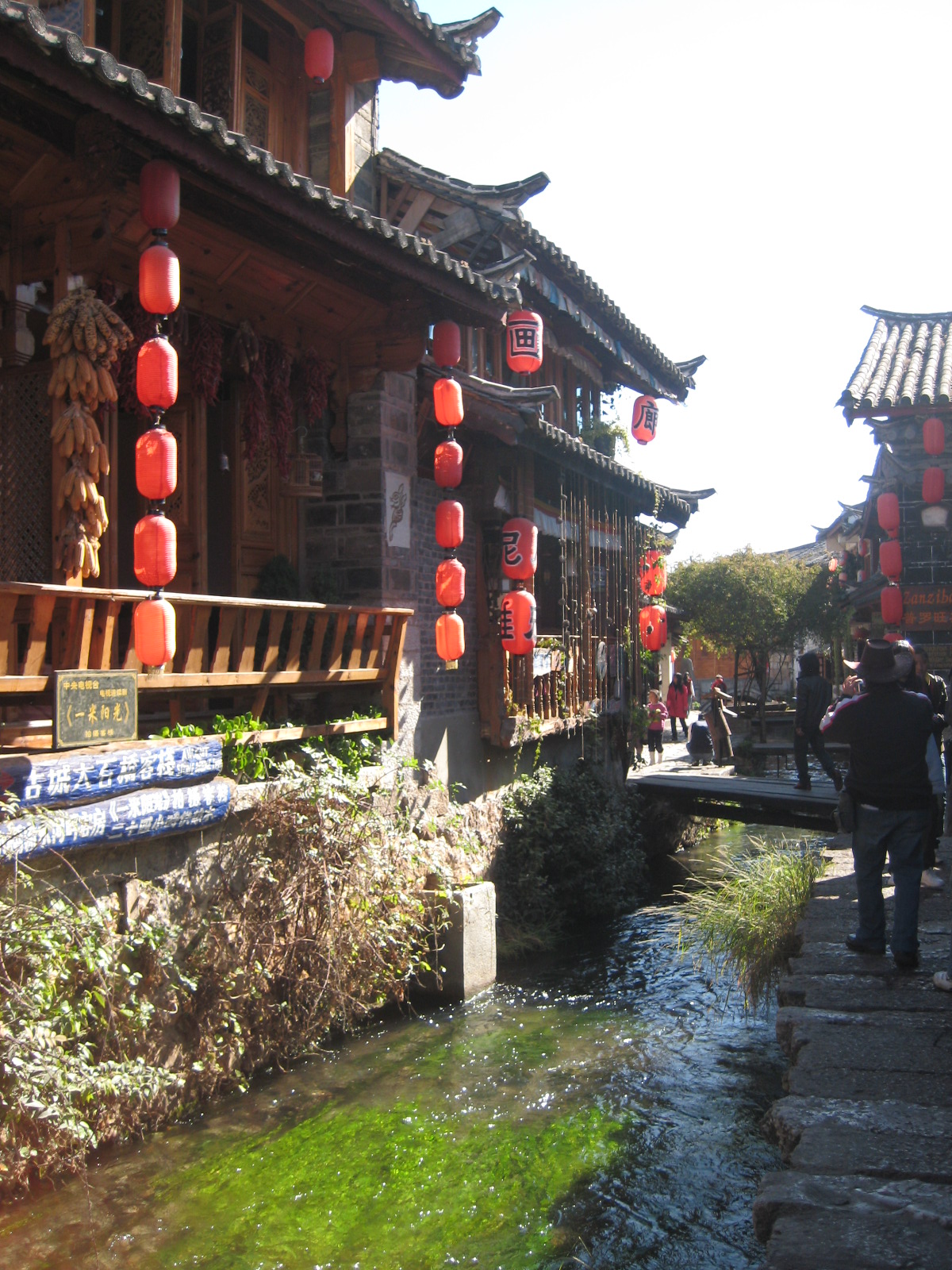 [IMG_2524.JPG]
